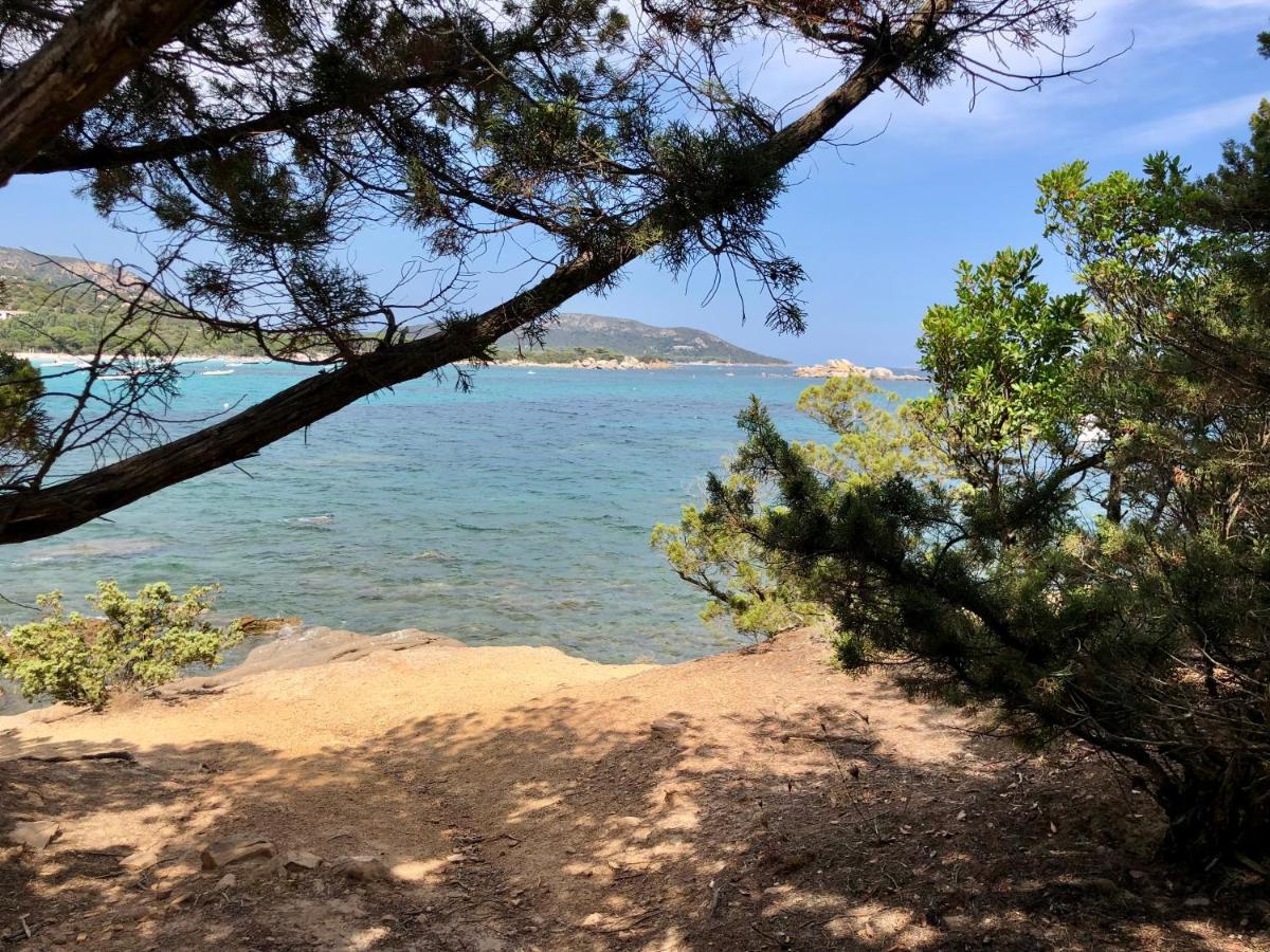 Superbe Appartement Sur Le Port, Jacuzzi, Piscine Πόρτο Βέκιο Εξωτερικό φωτογραφία